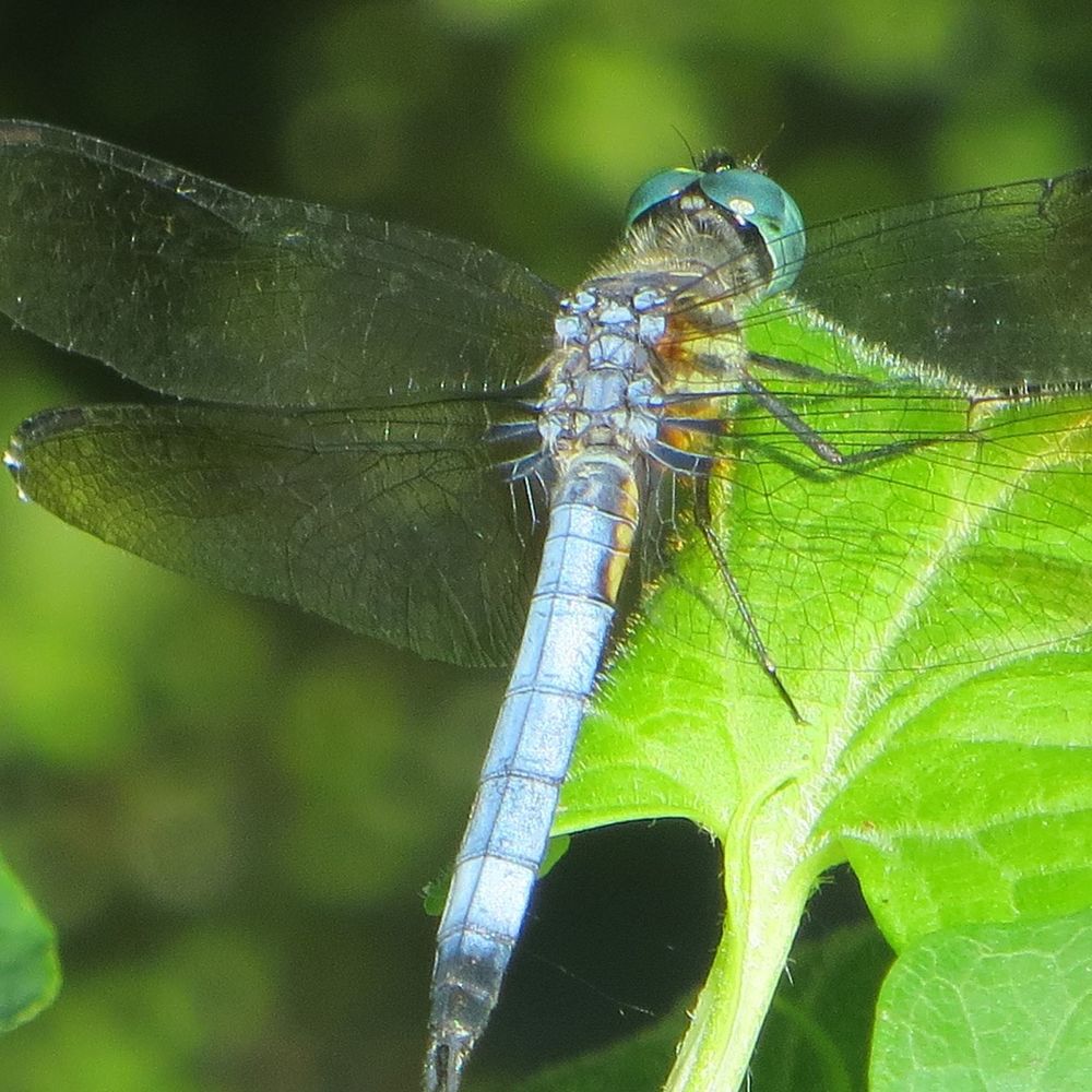 Meet your Posher, Michael
